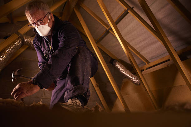 Best Energy Efficiency Solutions in Cross Plains, TX